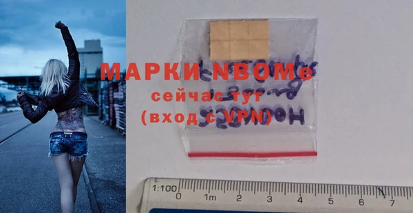 индика Наволоки