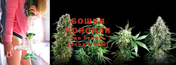 герыч Дмитриев