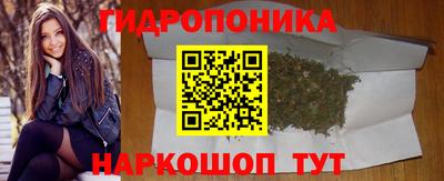 мдпв Камышлов