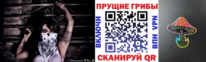 где купить наркоту  Мценск  Псилоцибиновые грибы MAGIC MUSHROOMS 