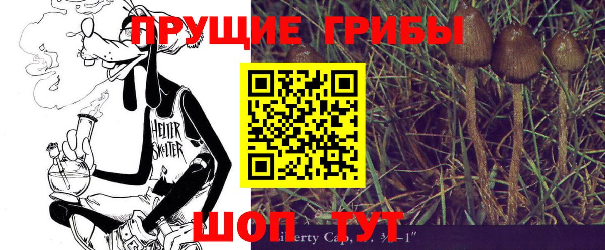 Псилоцибиновые грибы MAGIC MUSHROOMS  Вход с VPN  Мценск 
