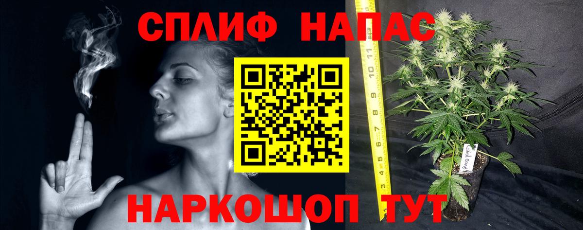 МАРИХУАНА семена  МАРИХУАНА гибрид  Мценск  Канабис White Widow 